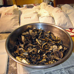 Dried Boletes